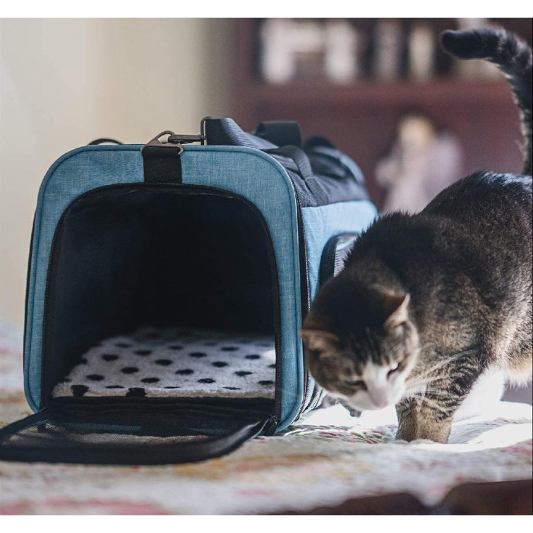 tsa cat carrier