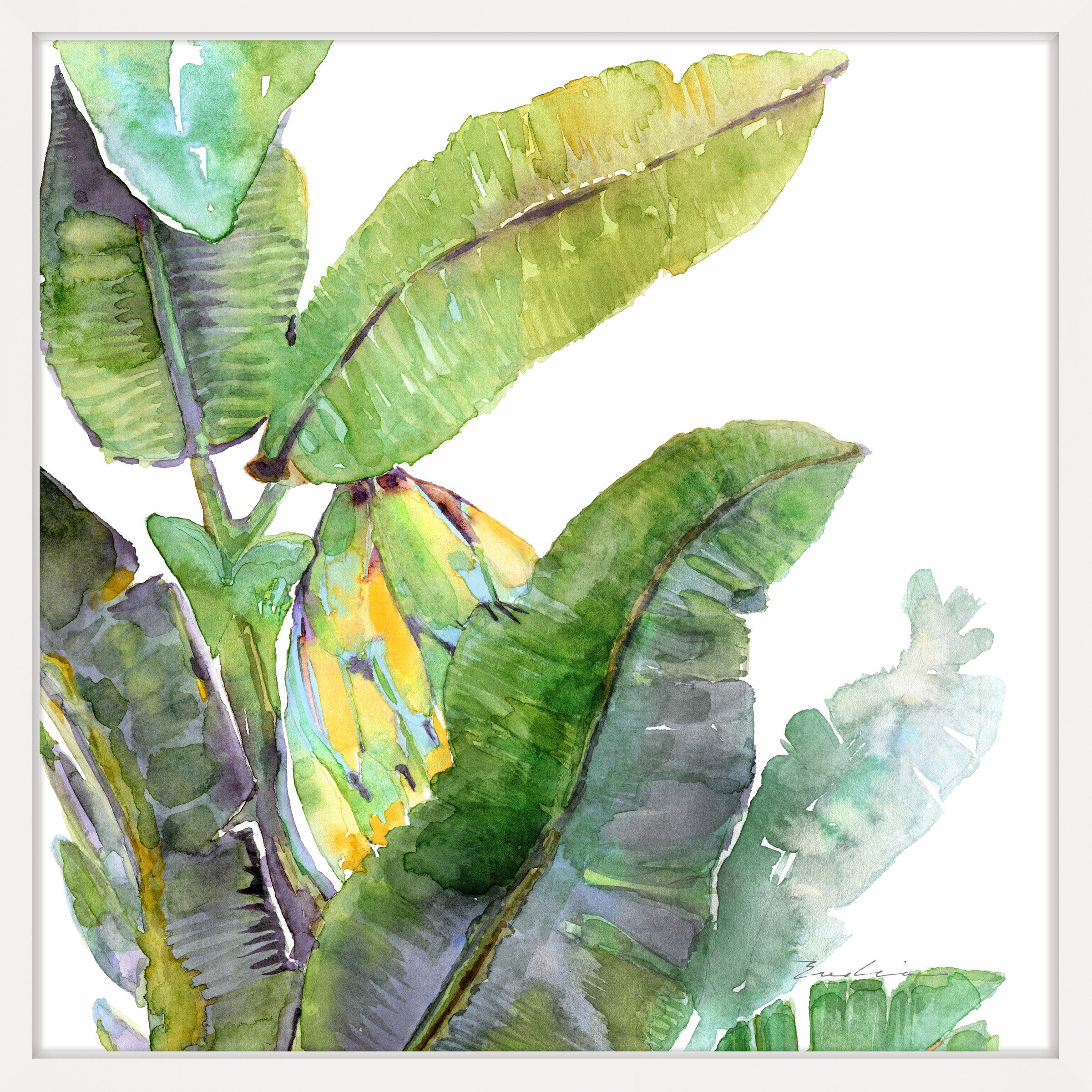 Банановые листья акварель