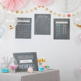 Kate Aspen 66 Piece Gender Reveal Baby Shower Game Decoration Kit