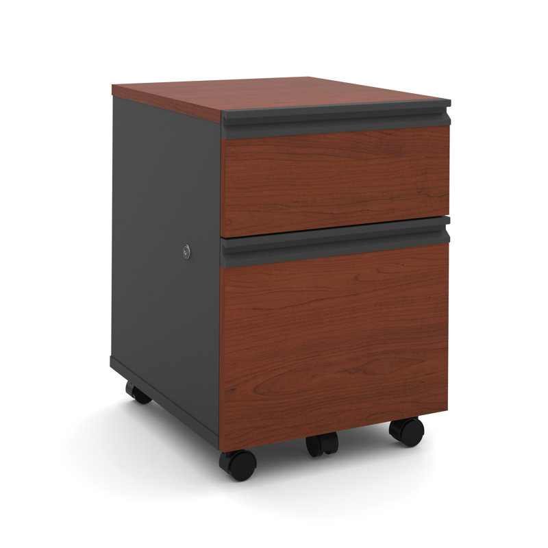 Ebern Designs Kenworthy 2 Drawer Mobile Pedestal Reviews Wayfair