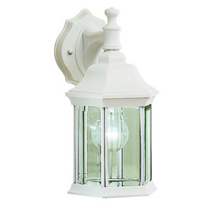 Bayou 1-Light Outdoor Glass Shade Wall Lantern