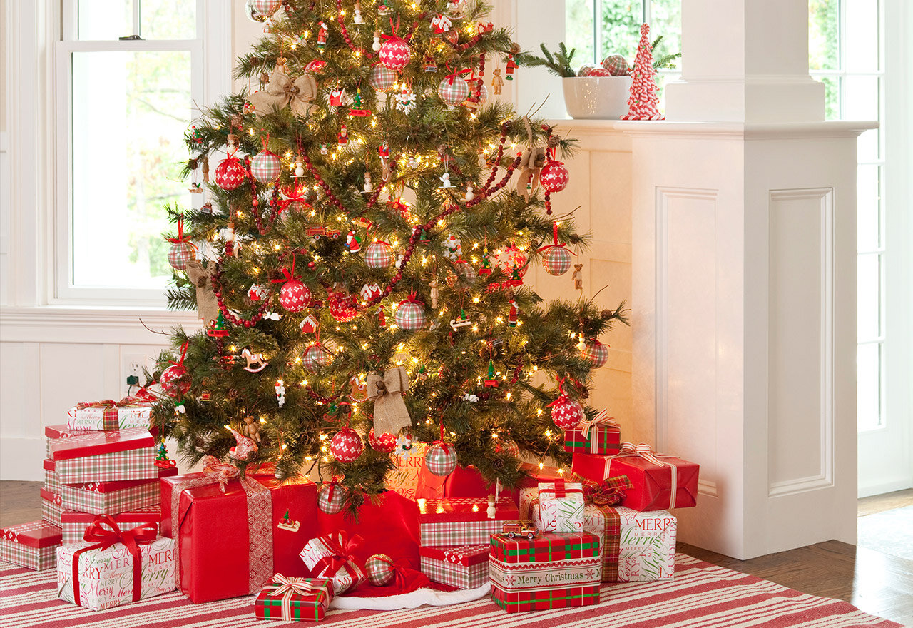 [BIG SALE] Favorite Faux Trees You’ll Love In 2021 | Wayfair