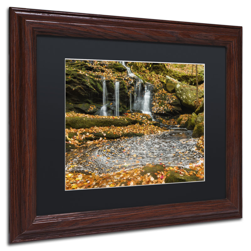 Trademark Art Circle Of Leaves Framed Photographic Print On