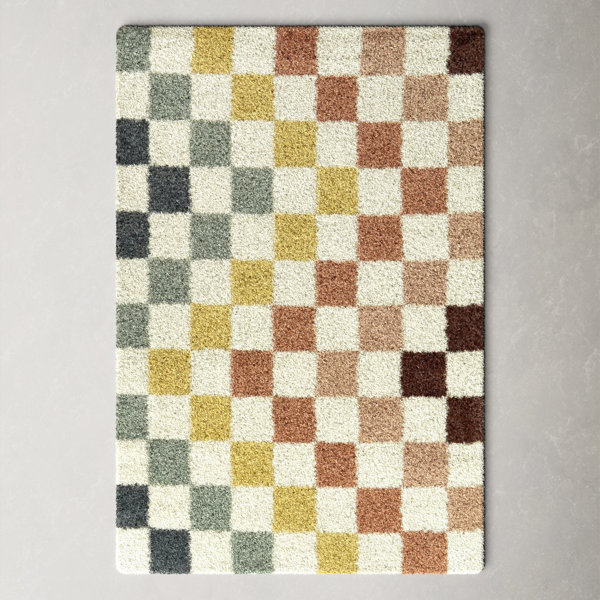 Florence-Graham CheckeredRainbow Colored Shag Area Rug