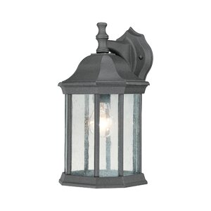 Shelburn 1-Light Outdoor Wall Lantern