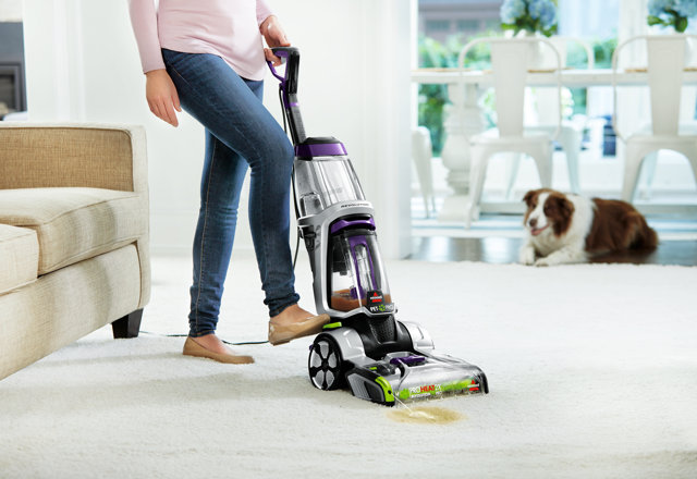 Vacuums for Pet Owners