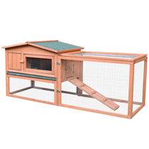 modern guinea pig house