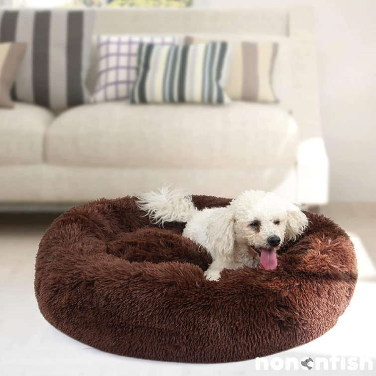 jumbo size dog beds