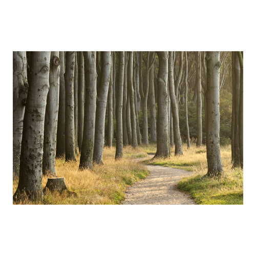 Forest Path in Northern Germany 2.55m x 3.84m Embossed Matte Peel & Stick Wallpaper Roll East Urban Home