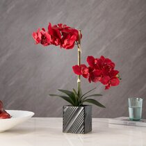 Table Decorations Red Blum close Socket Table Flower Arrangement Table Decoration Flower Arrangement