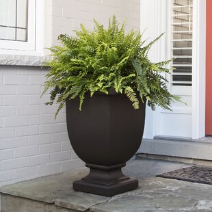 Wayfair | Extra Large Urn Planters Planters You'll Love in 2022