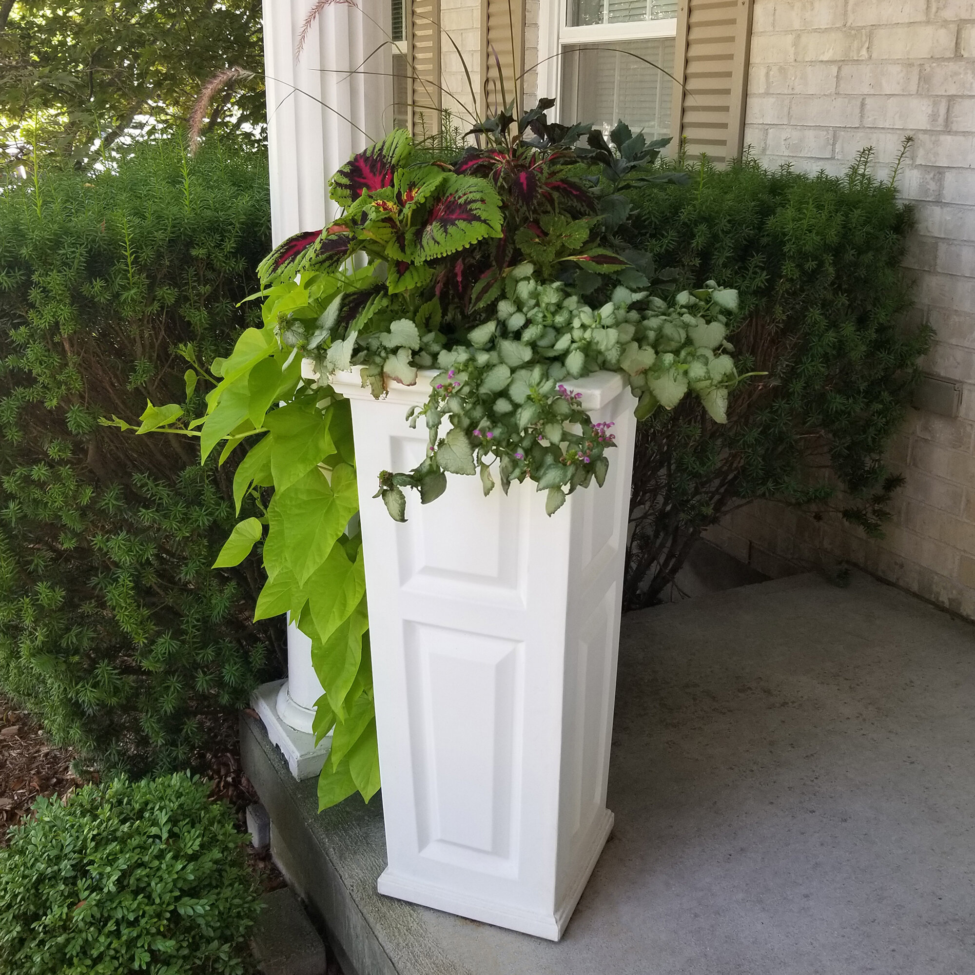 Square Plastic Flower Pot Garden Home Planter Indoor Outdoor Tall Herb Grey 