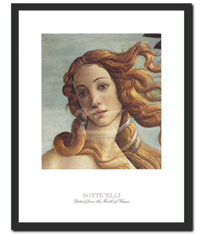 Frames By Mail The Birth Of Venus By Sandro Botticelli Framed