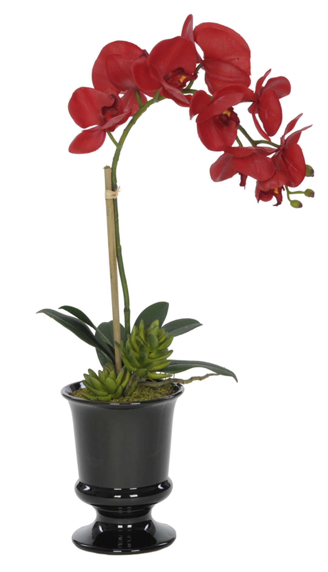 Bayou Breeze Orchid Centerpiece In Vase & Reviews 