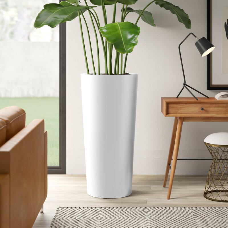 Mercury Row® Roane Fiberglass Pot Planter & Reviews | Wayfair