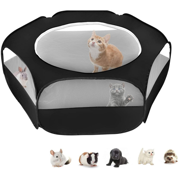 large kitten playpen