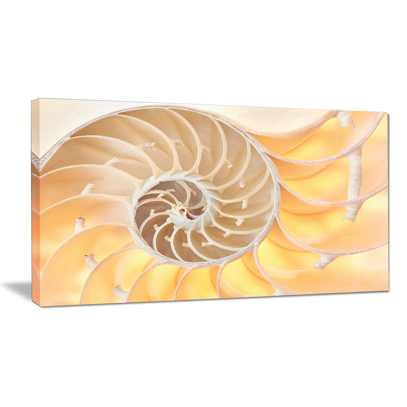 Designart Golden Nautilus Shell Pattern Graphic Art On Wrapped Canvas Wayfair