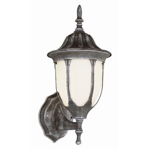 1-Light Outdoor Sconce