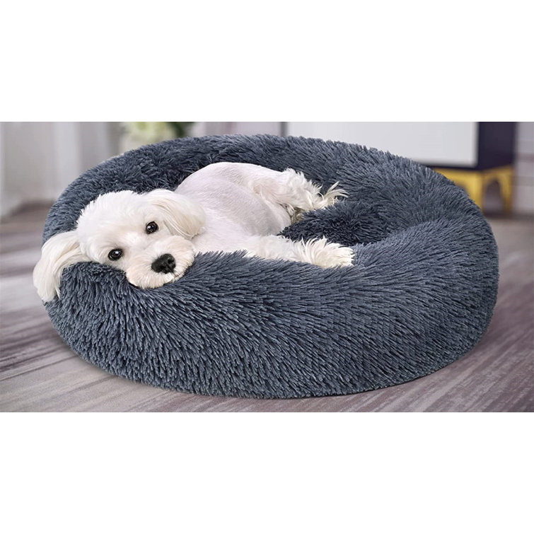 Tucker Murphy Pet™ Breonica Donut Bloster | Wayfair