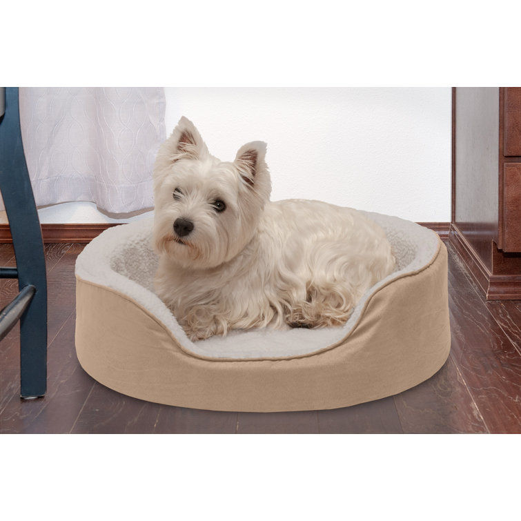 wayfair pet beds