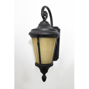 Best 1-Light Outdoor Wall Lantern By Beachcrest Home Outdoor Lighting 1-Light Outdoor Wall Lantern By Beachcrest Home Outdoor Lighting