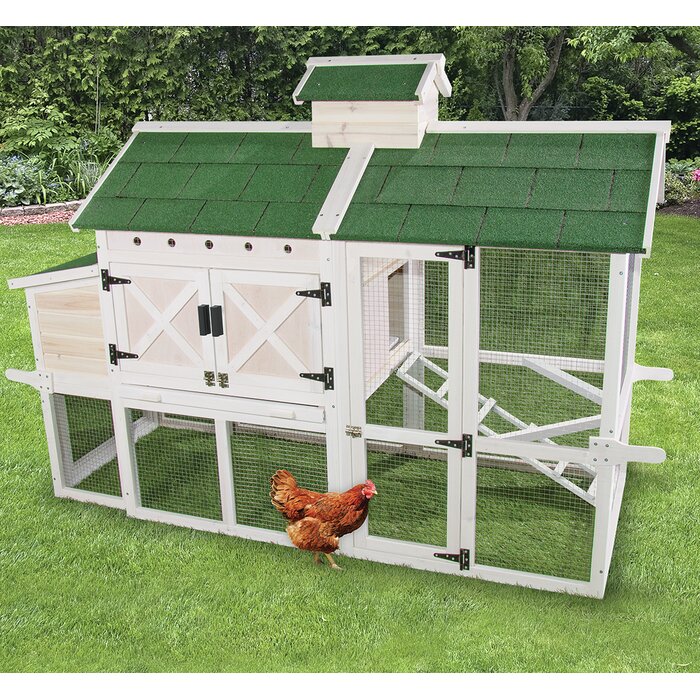 Premium Chicken Coop With Chicken Run