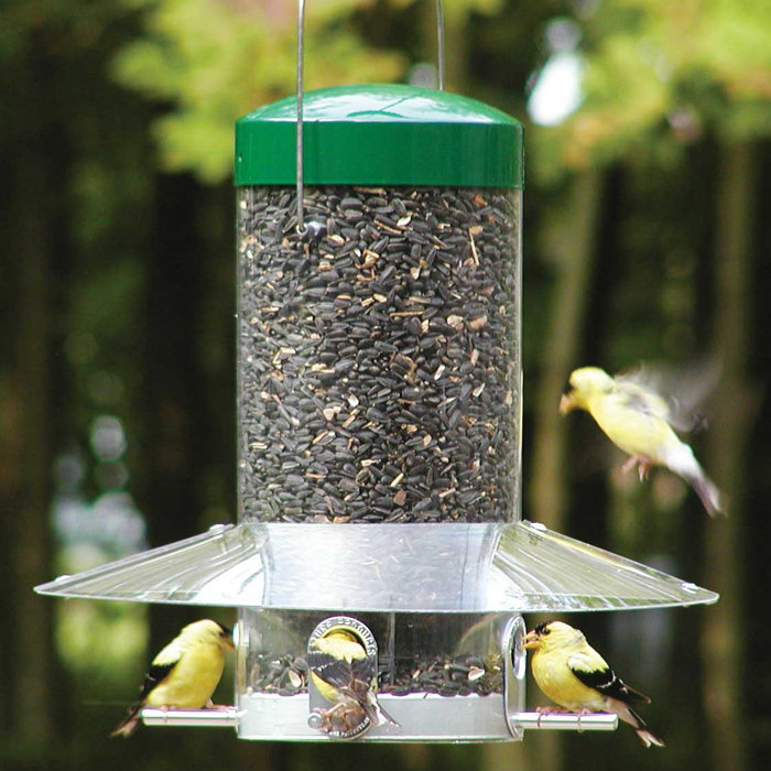 Birds Choice Hanging Tube Bird Feeder Reviews Wayfair