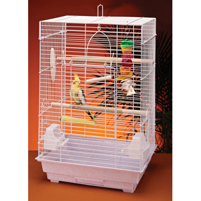 Medium Bird Starter Kit Penn Plax