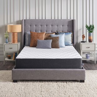 Sealy | Wayfair