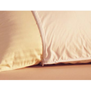 Allery Resist Pillow Protector by Alwyn Home