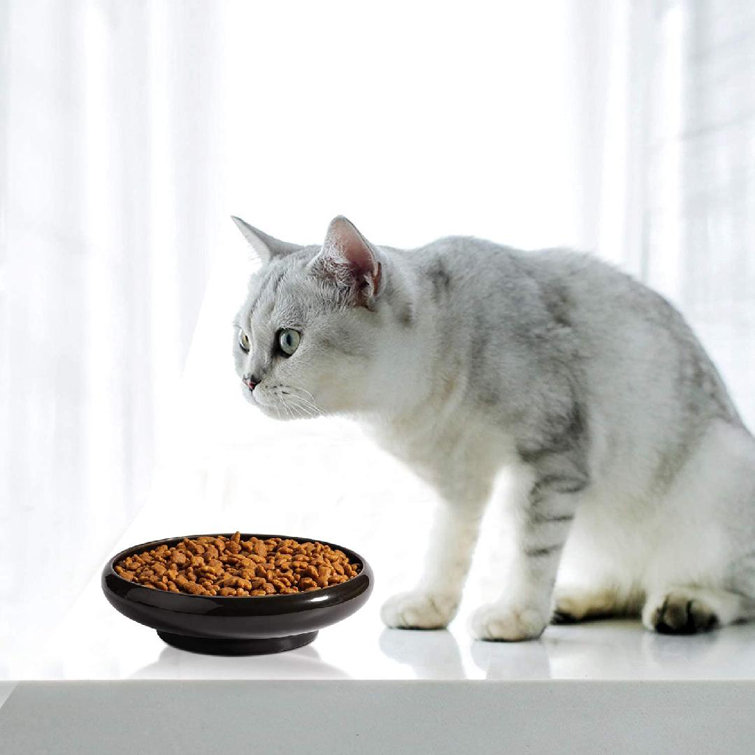 wide shallow cat bowls