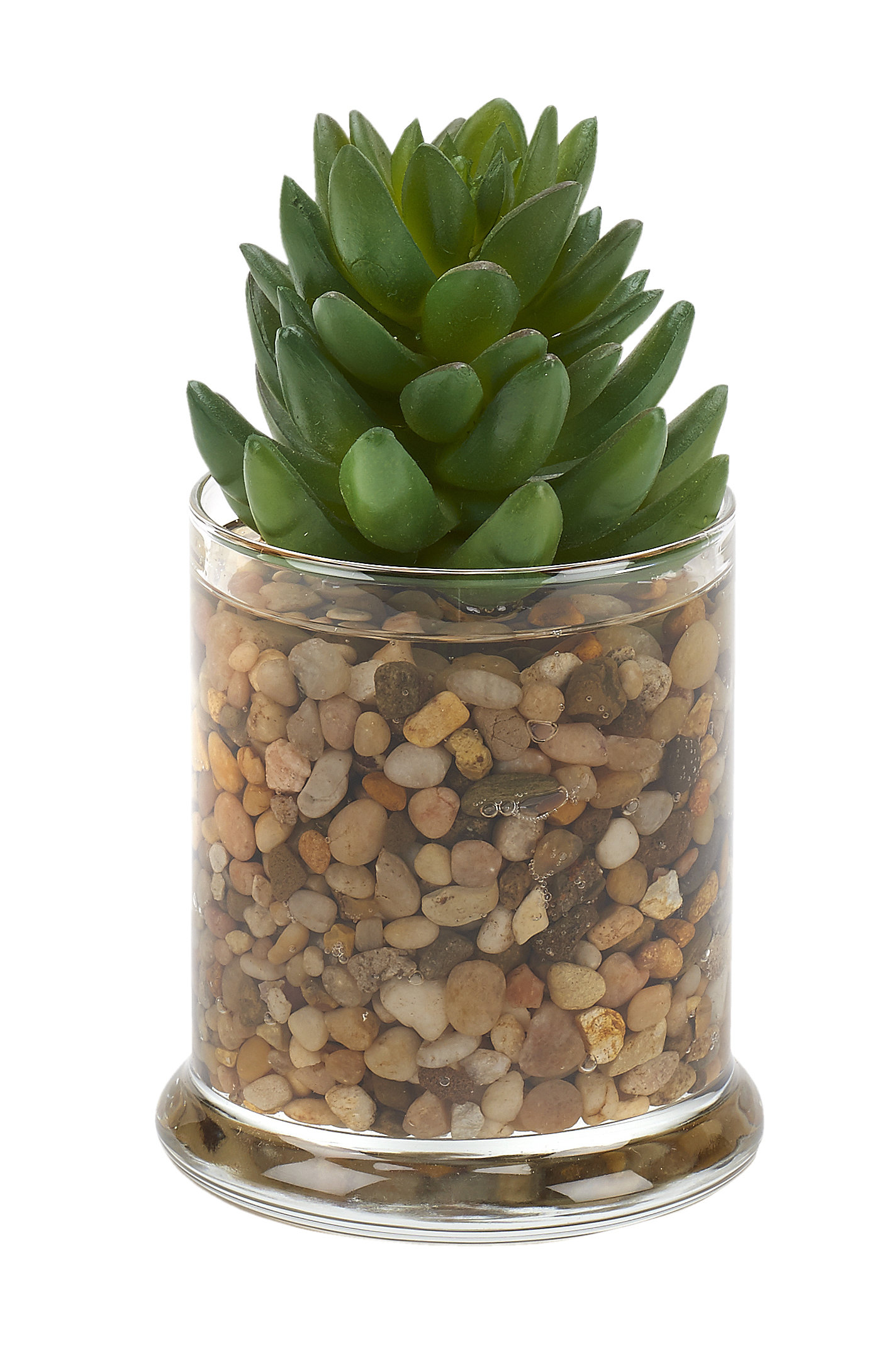 Primrue Faux Succulent in Glass Jar | Wayfair