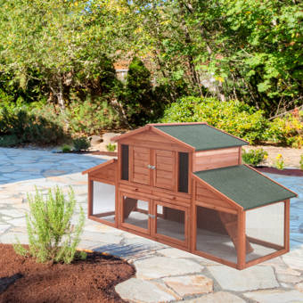 Tucker Murphy Pet Belinda Deluxe Portable Backyard Chicken Coop With
