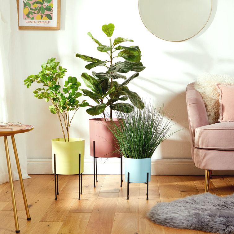 Beautify Set Of 3 Pastel Planters | Wayfair.co.uk