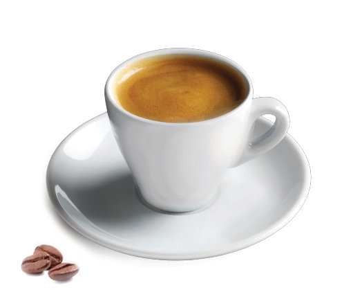 Cuisinox 6 Porcelain Espresso Cup Reviews Wayfair