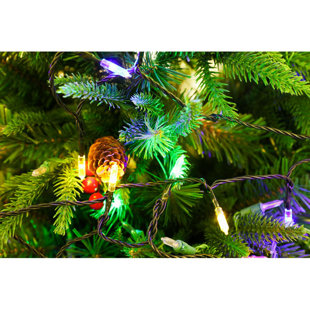 Best 100 Fairy String Light By Festival Depot Outdoor Lighting 100 Fairy String Light By Festival Depot Outdoor Lighting