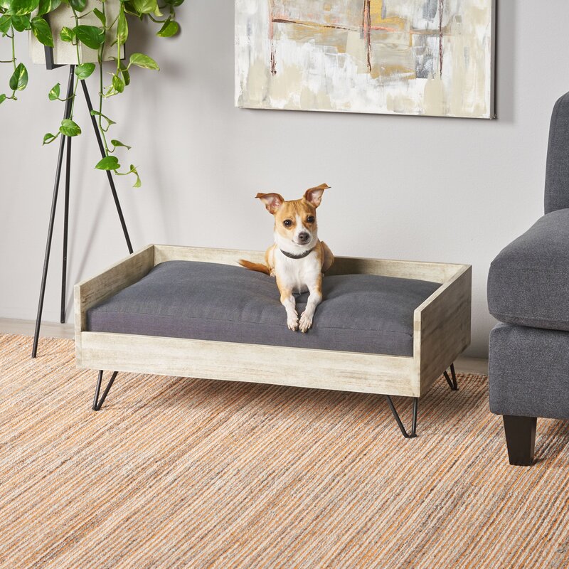 Kaylor Mid Century Modern Dog Sofa 