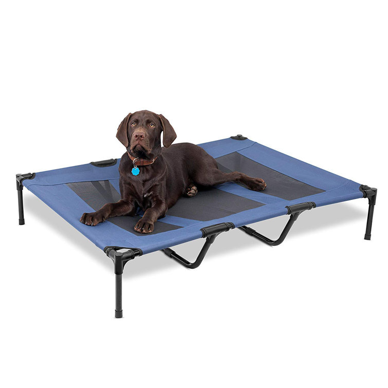 puppy cot