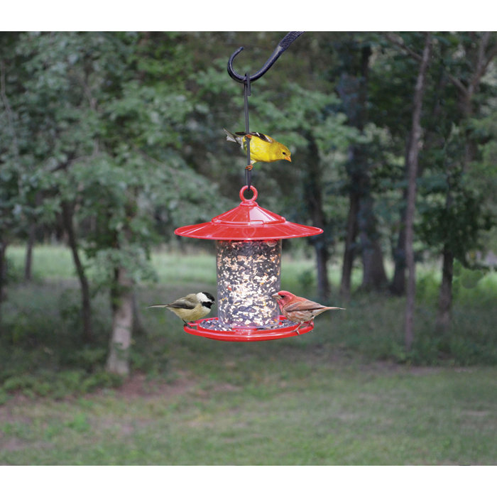 Songbird Essentials Dial A Seed Tube Bird Feeder Wayfair