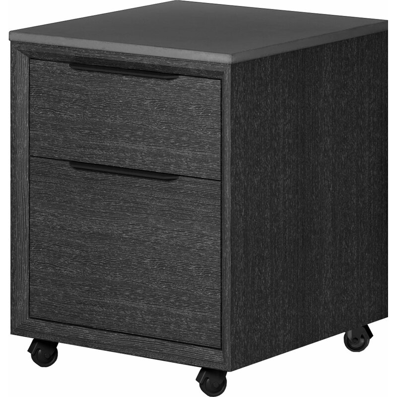 Orren Ellis Salaam 2 Drawer Mobile Vertical Filing Cabinet Wayfair