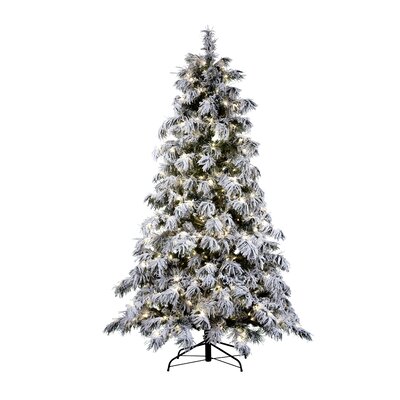 Haute Decor Snowy Pre-Lit Berkshire 7.5 Flocked Spruce Artificial Christmas Tree 500 Warm White Lights