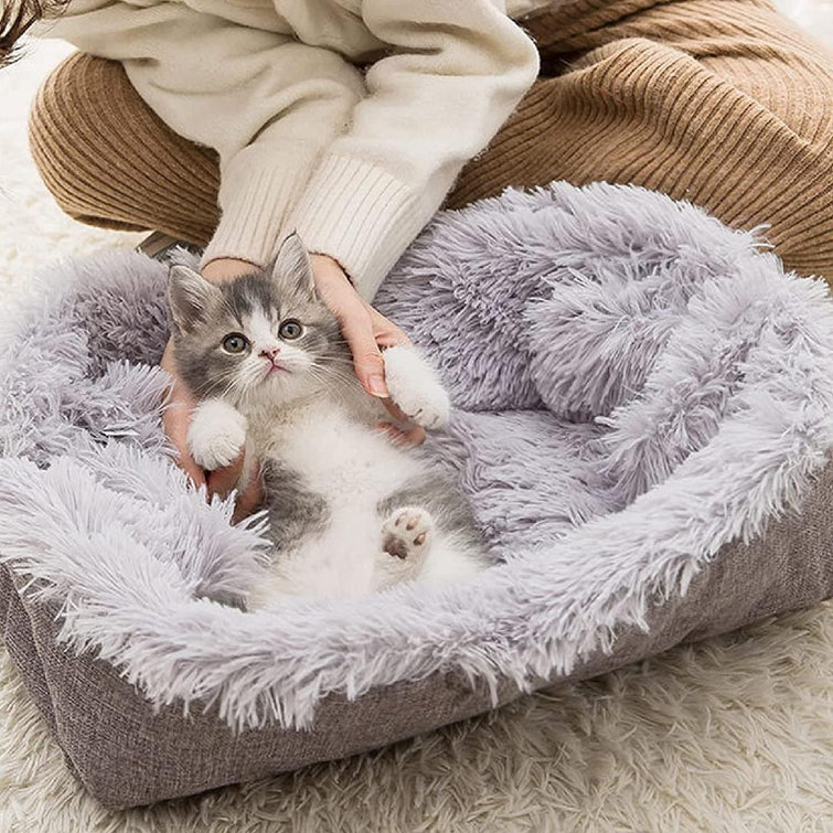 fuzzy cat bed