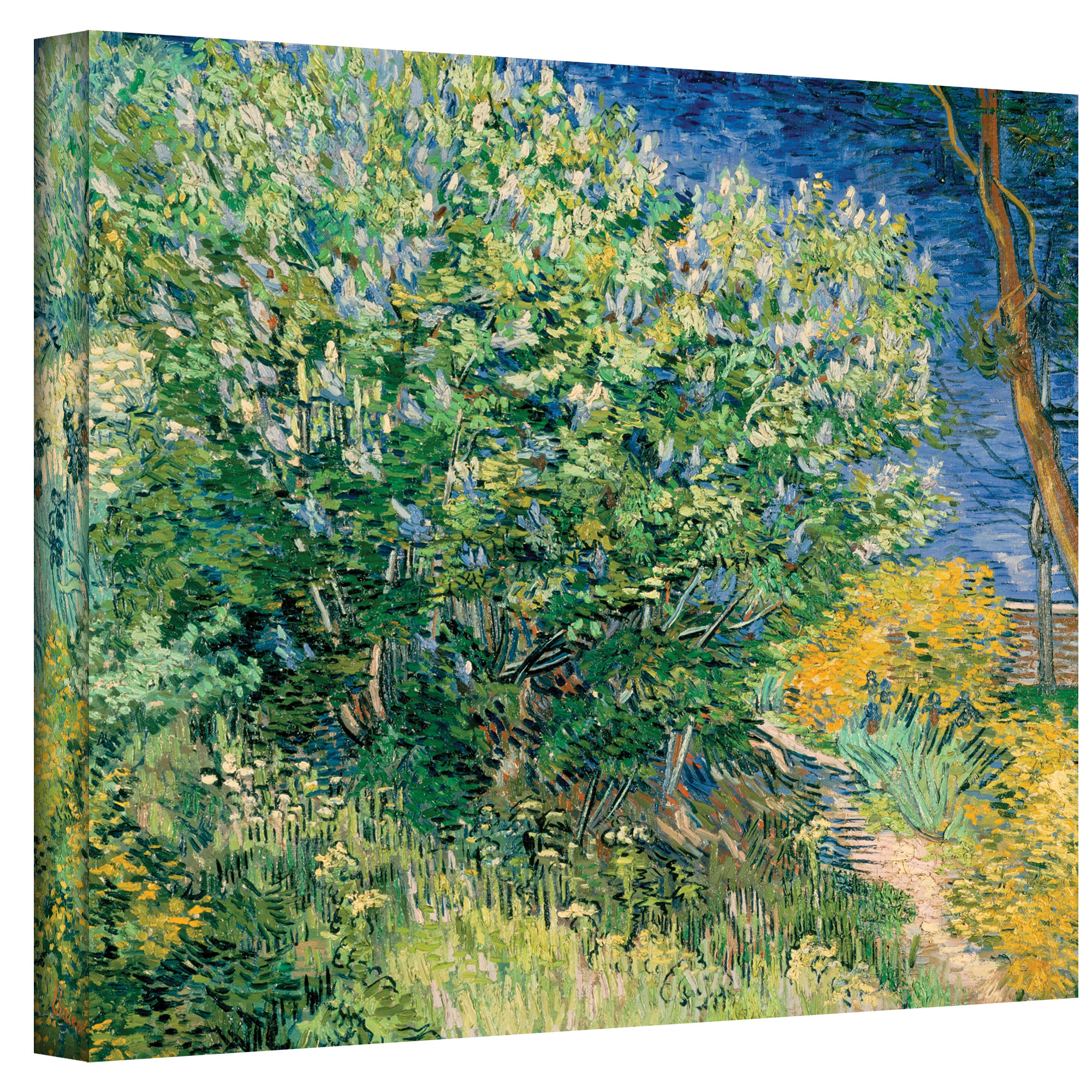 A Bush HERMITAGE MUSEUM Van Gogh Fine Art Print NEW