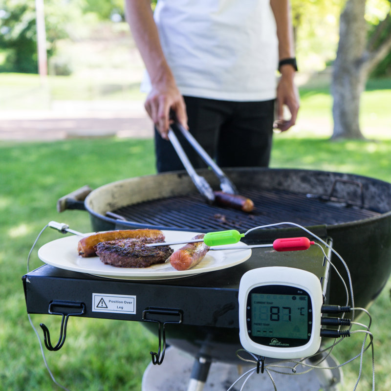 Bbq Dragon 6 Probe Wireless Digital Meat Thermometer Wayfair