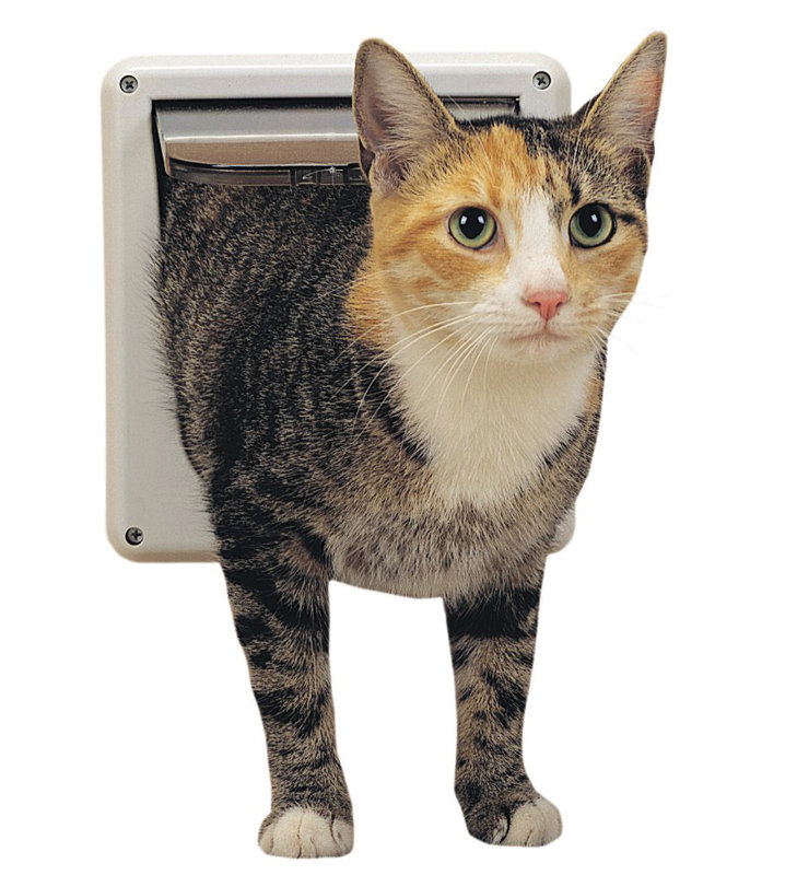 Petsafe 6 56 X 6 81 Small White Cat Flap Pet Door Reviews