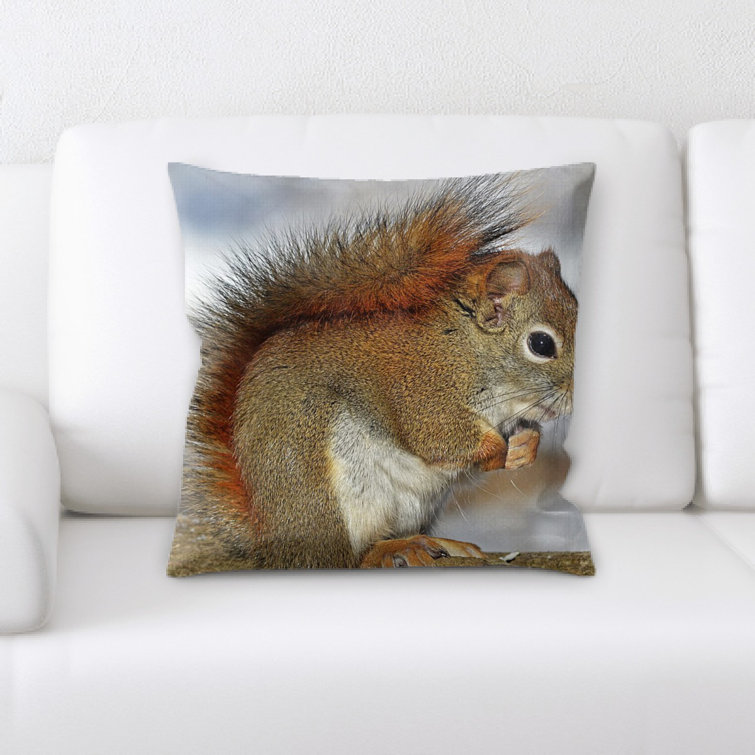 squirrel pillow