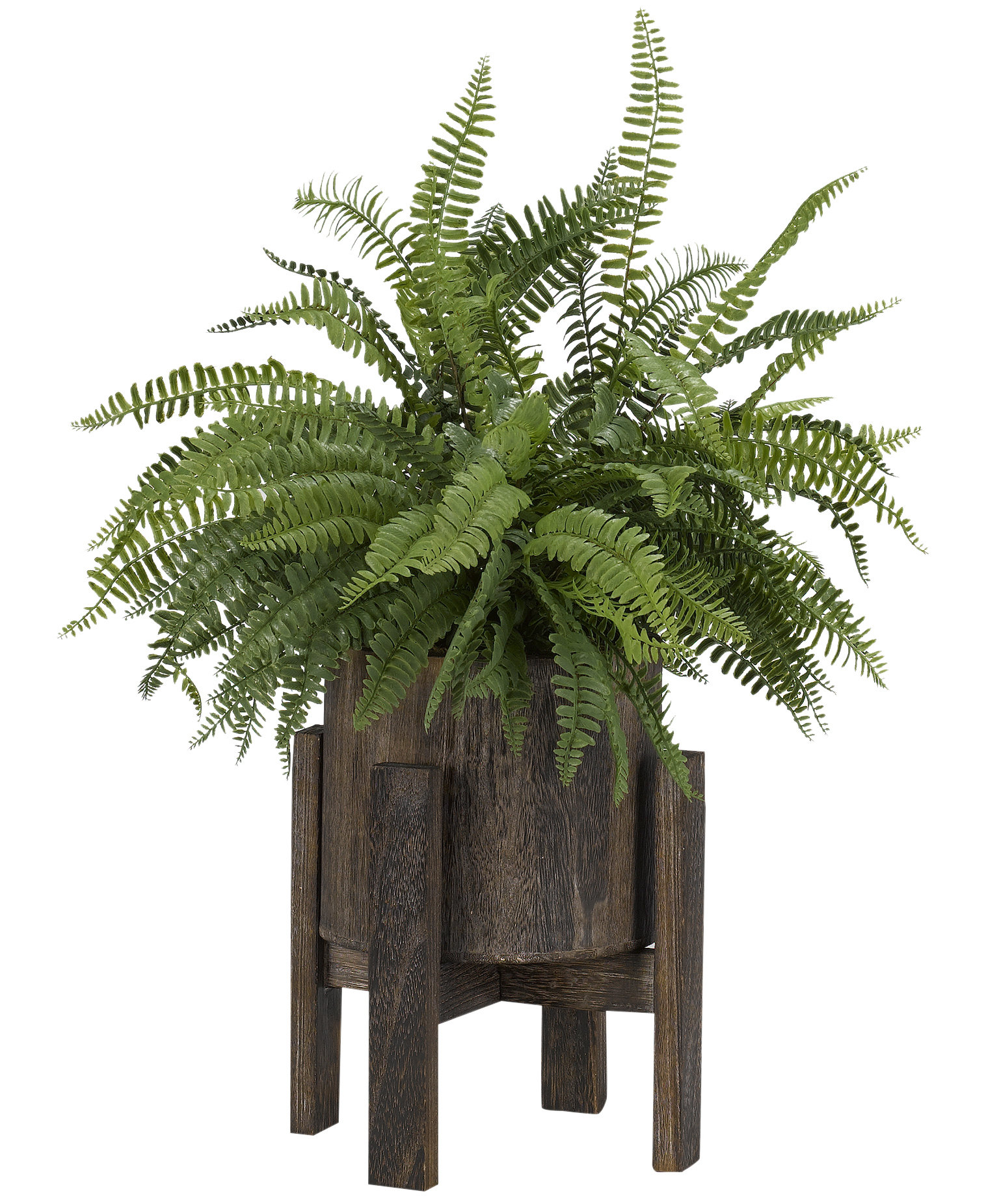 wayfair standing planter on Millwood Pines Boston Fern Plant In Planter Wayfair