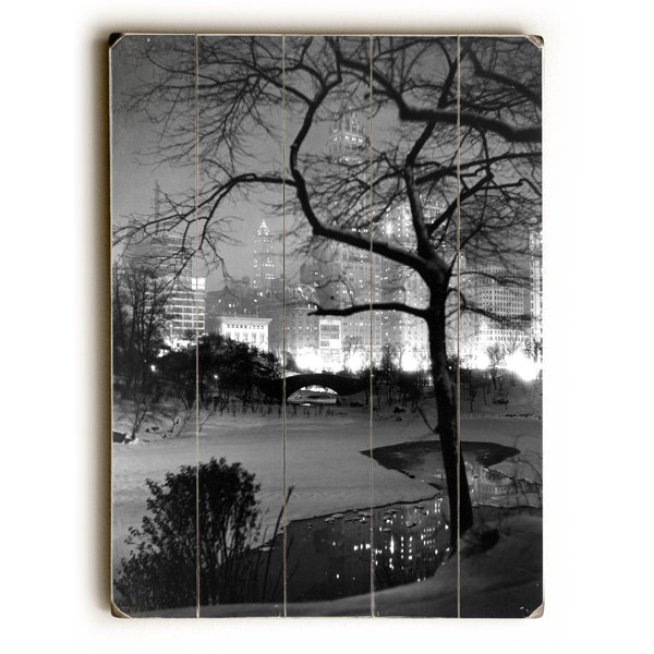 Central Park Wall Art Wayfair