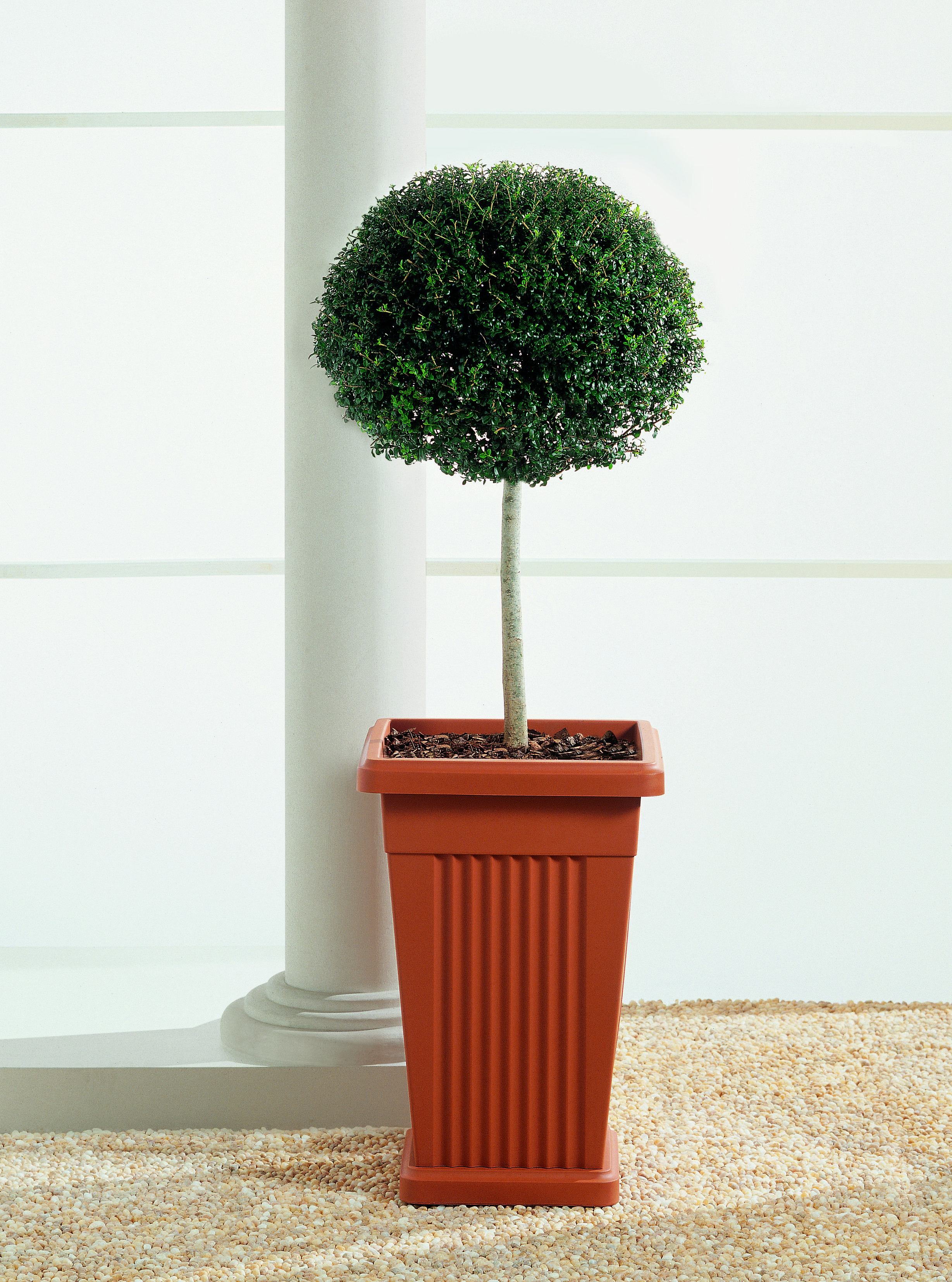 wayfair standing planter on Red Barrel Studio Aryonna Self Watering Plastic Pot Planter Wayfair