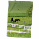 Horse Stuff Wayfair